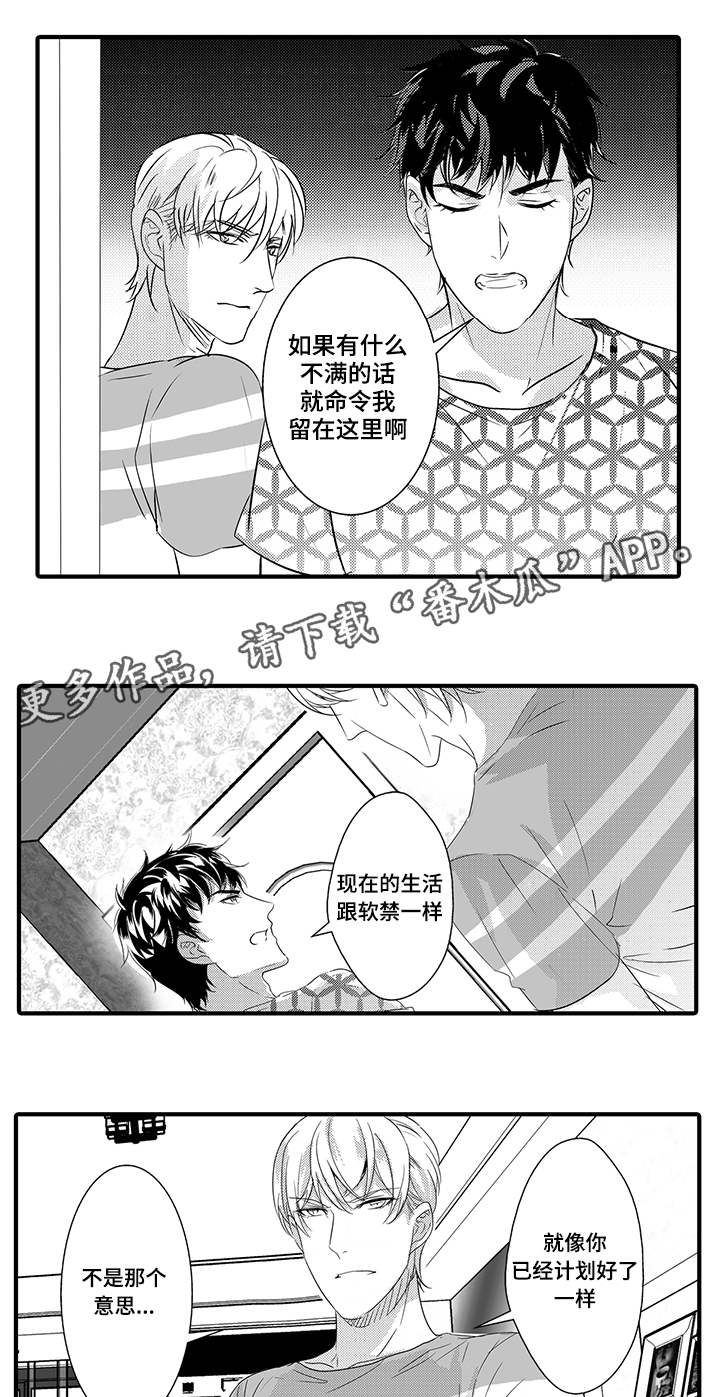 固执追求完美漫画,第37章：无法回头3图