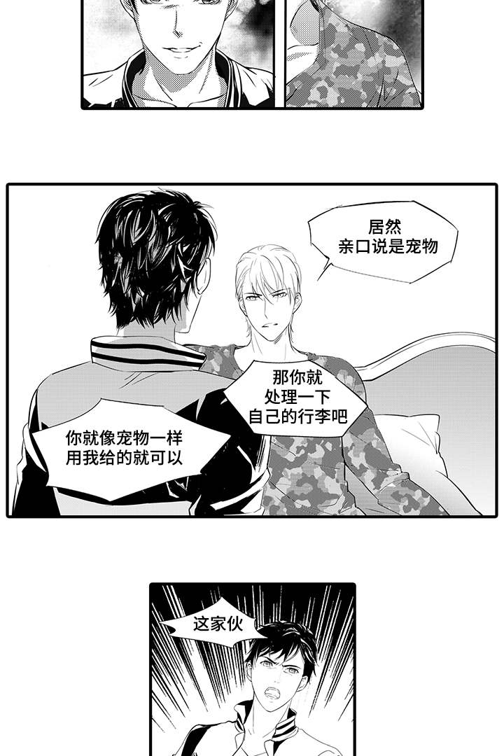 固执探寻漫画,第8章：宠物4图