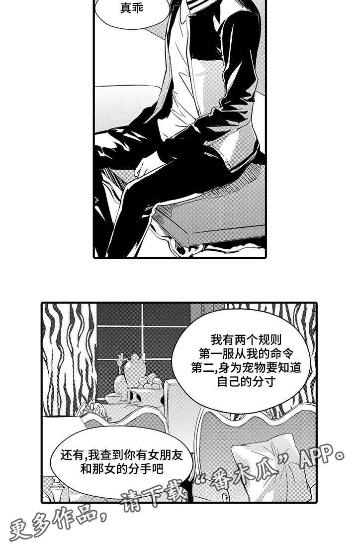 固执探寻漫画,第8章：宠物2图
