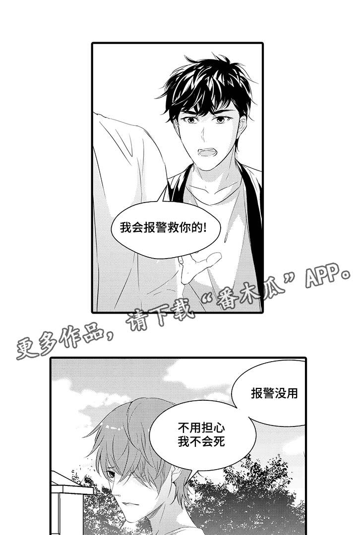 固执探寻漫画,第40章：开始行动2图