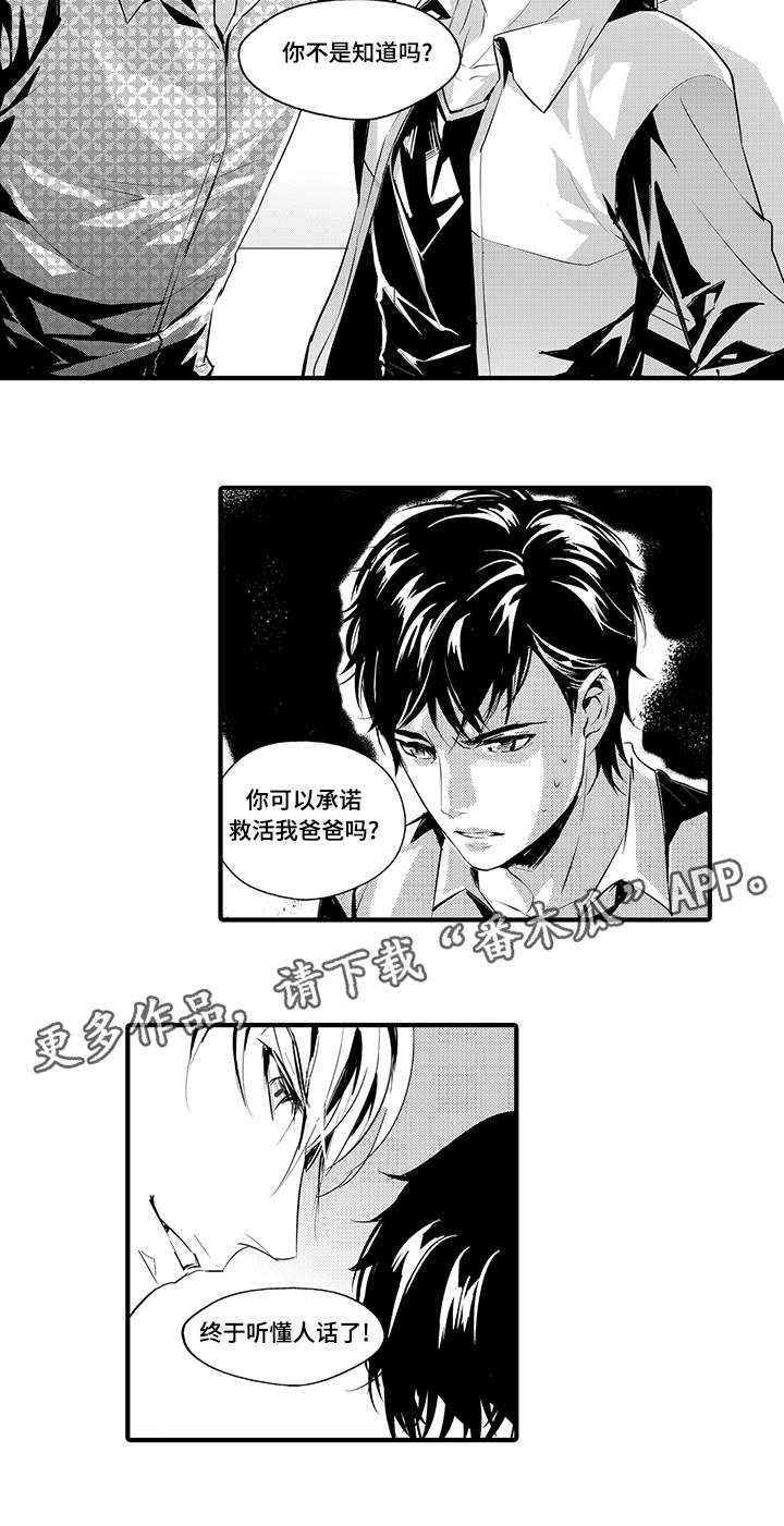 固执探寻漫画,第7章：妥协3图