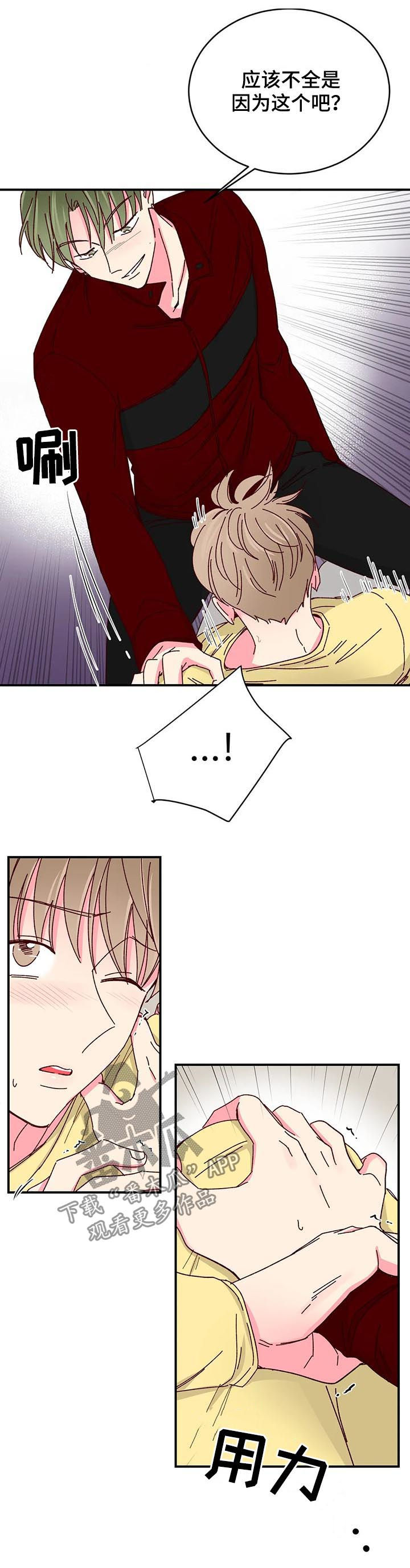 奶油蛋糕的制作方法和步骤文字漫画,第71章：大哥驾到3图