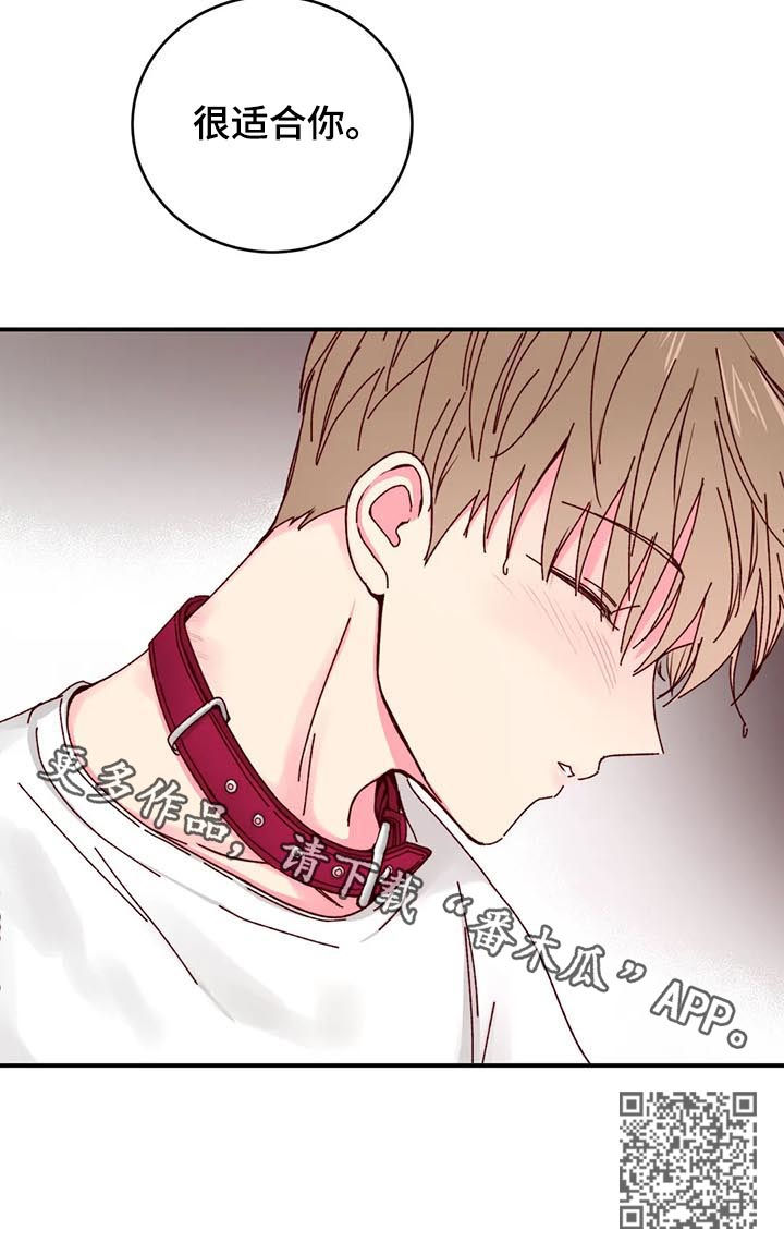 奶油蛋糕图片大全大图漫画,第27章：很适合你2图