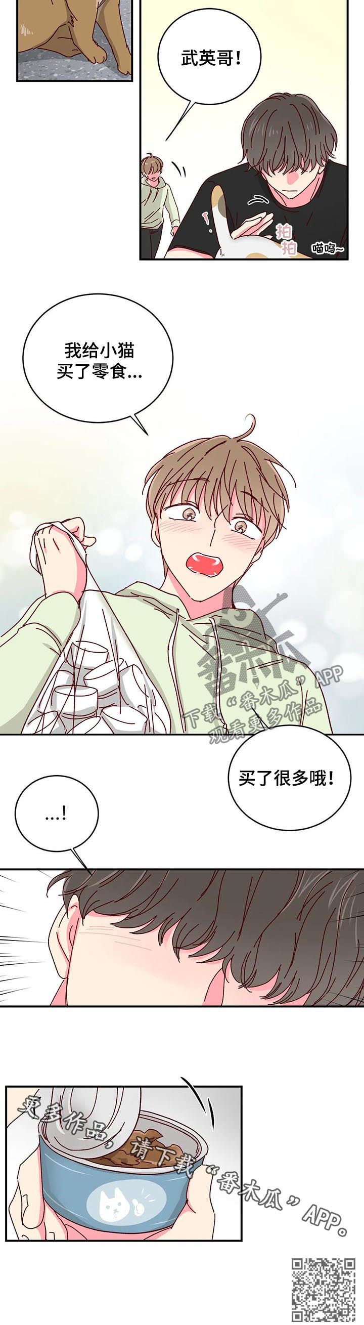 奶油蛋糕漫画,第40章：喂猫1图