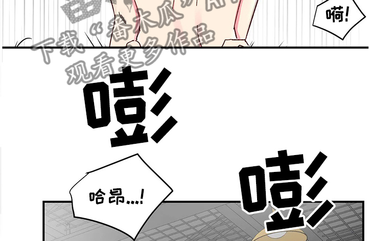 奶油蛋糕乐队漫画,第90章：【第二季】恢复身体记忆4图