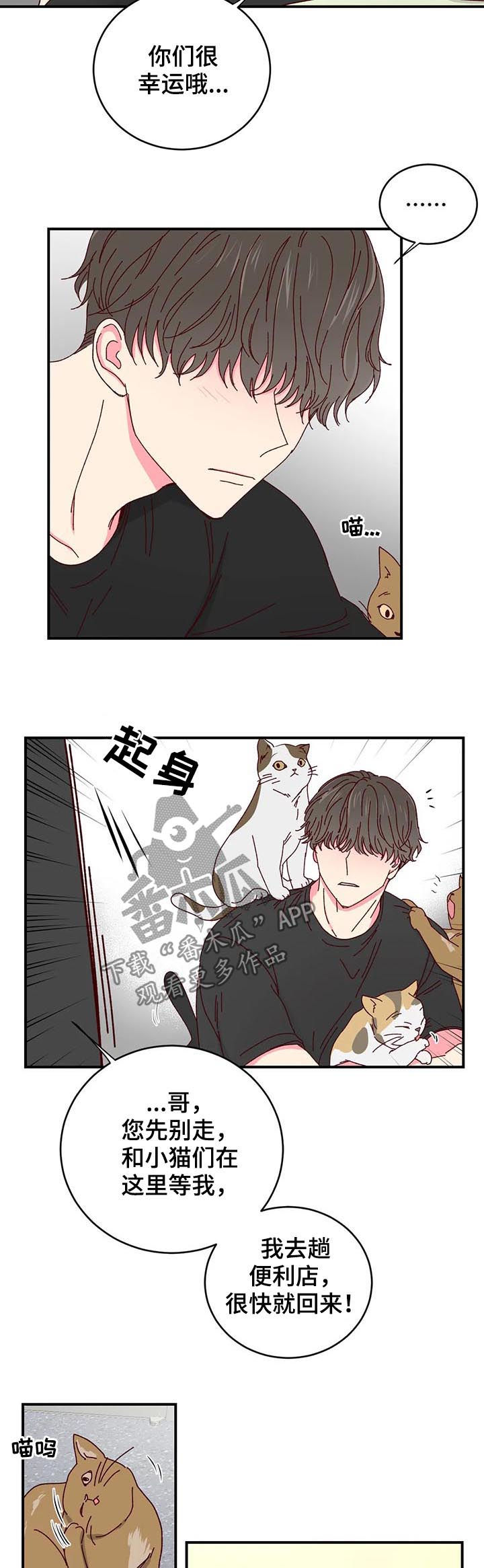 奶油蛋糕漫画,第40章：喂猫5图