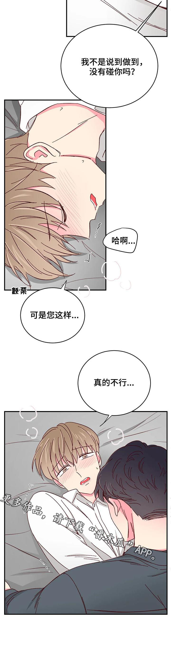 奶油蛋糕乐队漫画,第77章：【第二季】真的不行1图