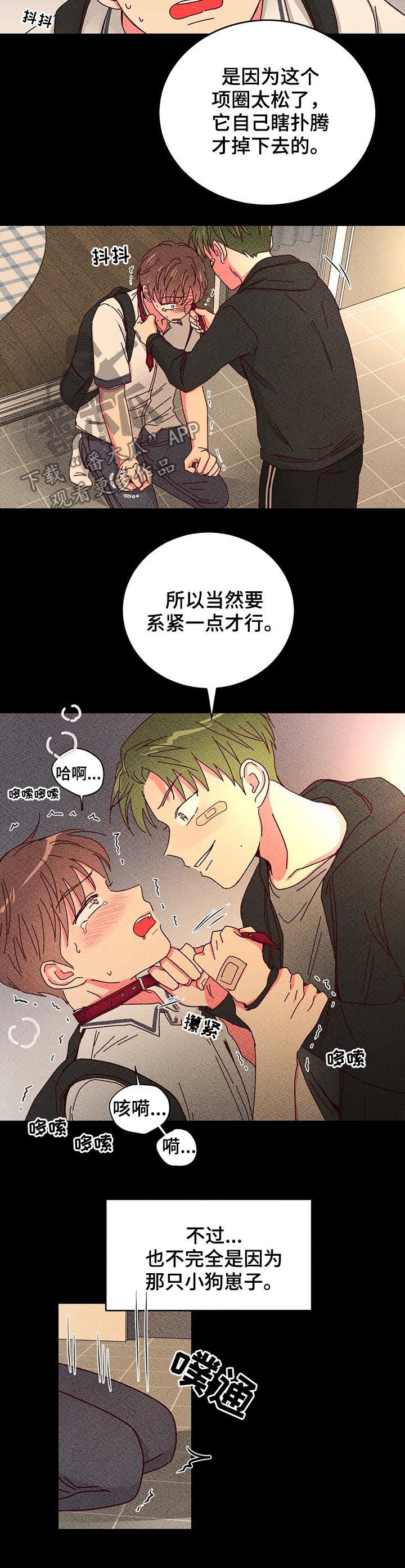 奶油蛋糕酱的小说漫画,第52章：有好戏看2图
