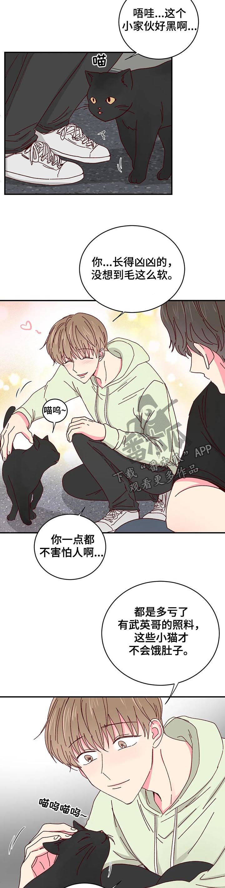 奶油蛋糕漫画,第40章：喂猫4图