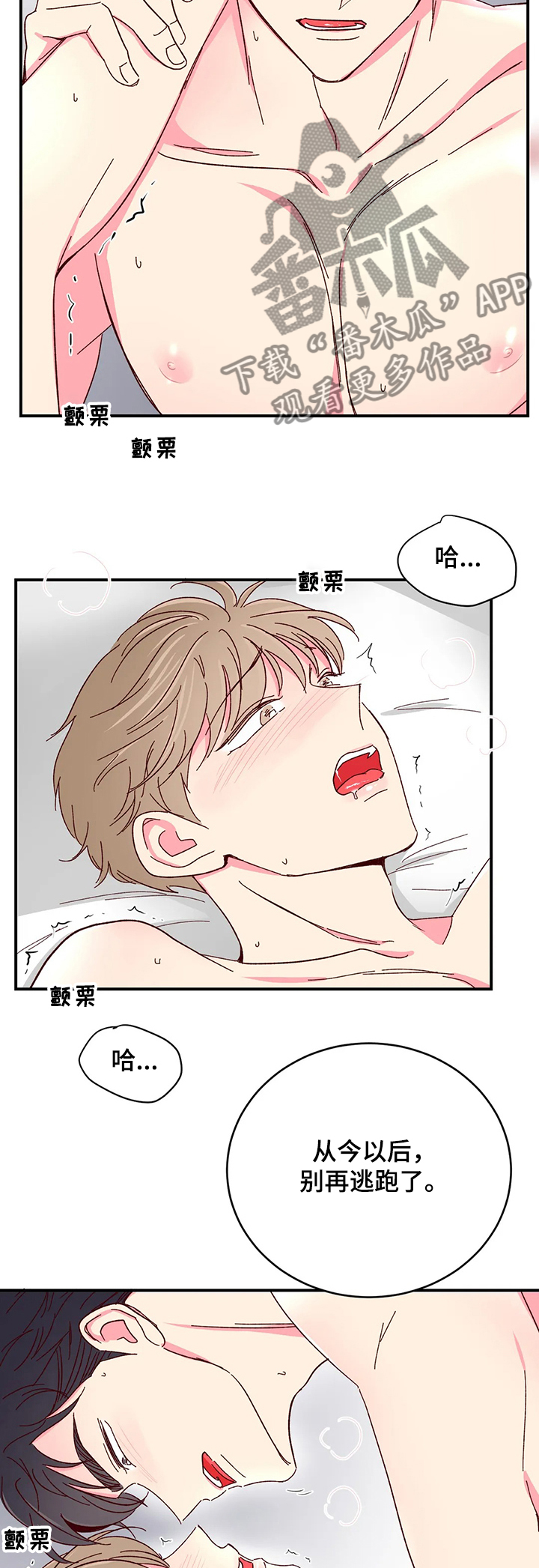 第92章：【第二季】别再逃跑了1