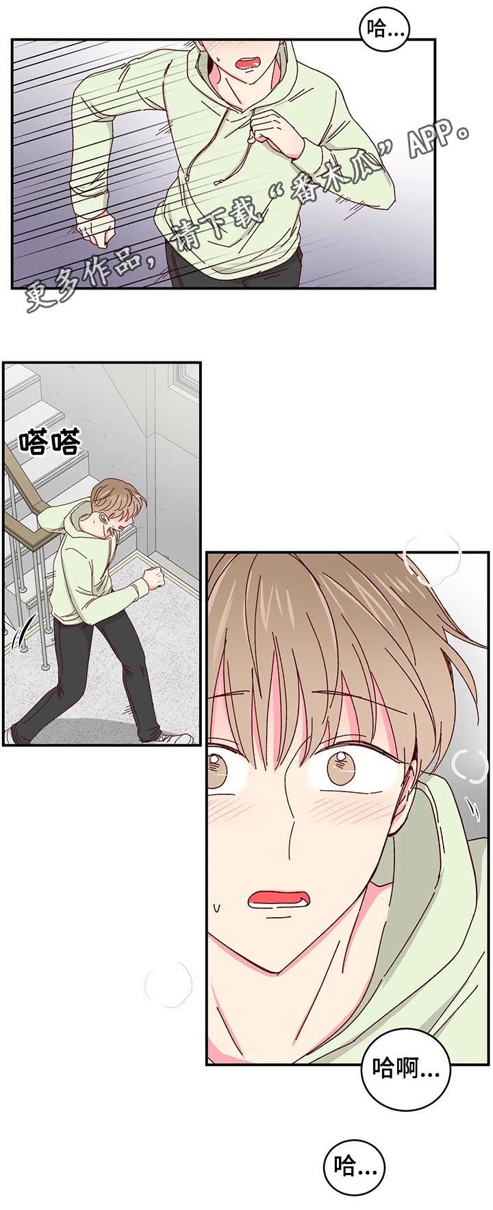 奶油蛋糕漫画,第40章：喂猫1图