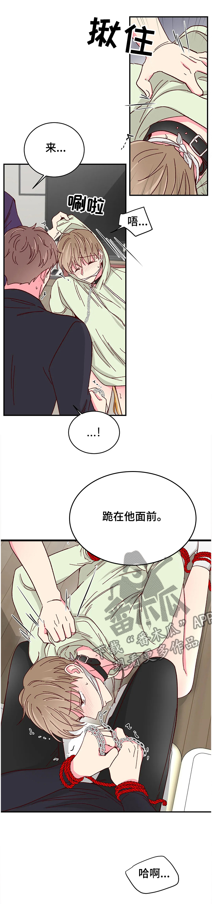 奶油蛋糕乐队漫画,第109章：【第二季】终于到来1图