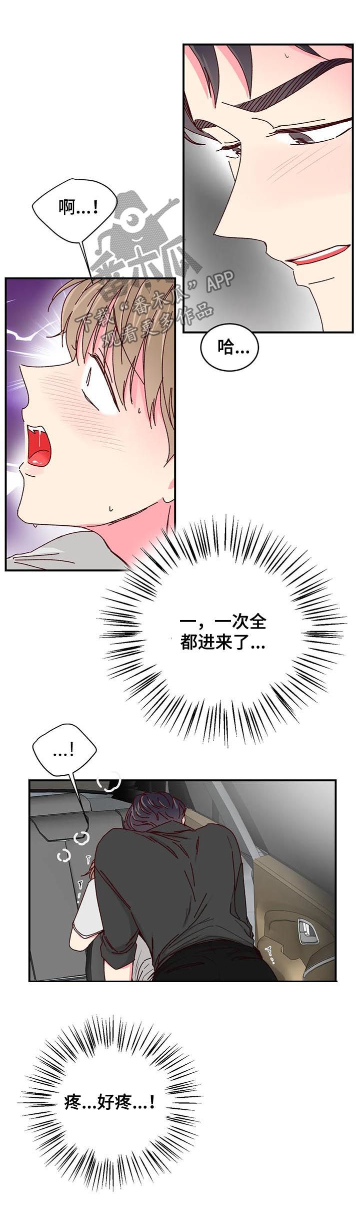 奶油蛋糕漫画,第64章：狭窄的车里5图