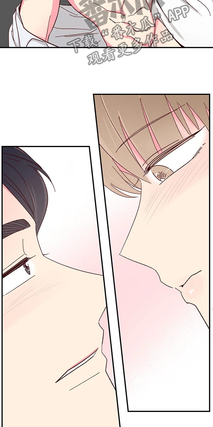 奶油蛋糕漫画,第117章：【第二季】当然可以2图