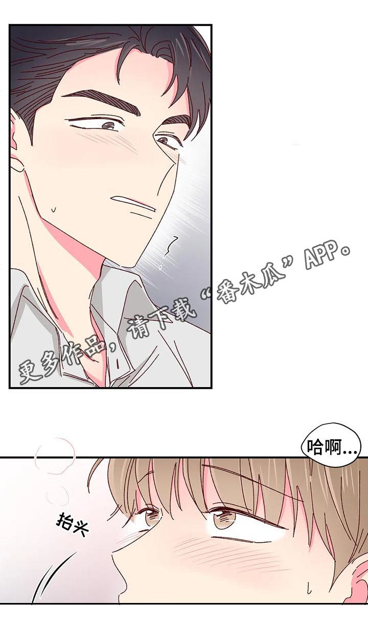 奶油蛋糕漫画,第44章：更好吃的1图