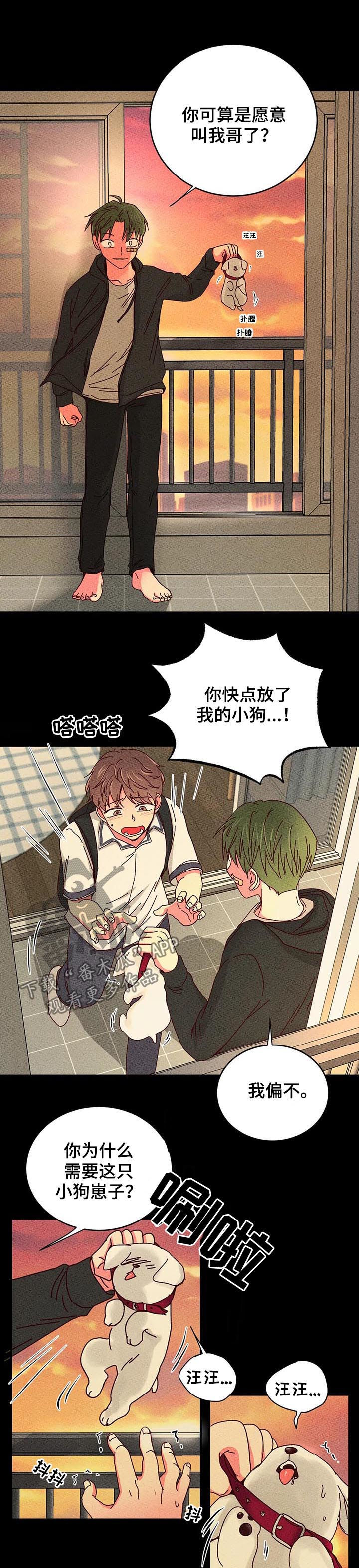 奶油蛋糕一人食漫画,第52章：有好戏看5图