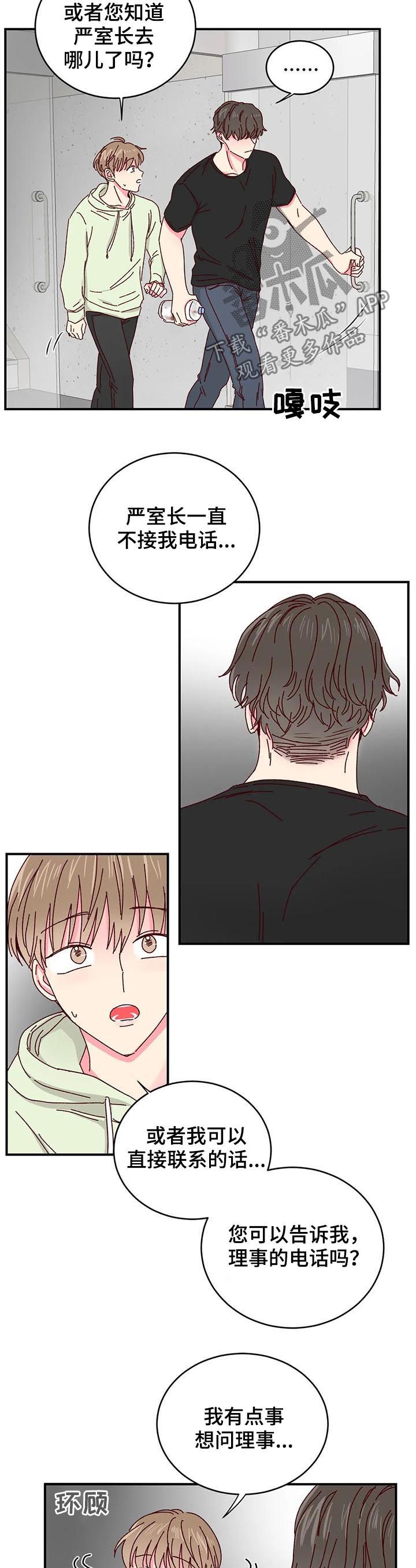 奶油蛋糕漫画,第40章：喂猫5图