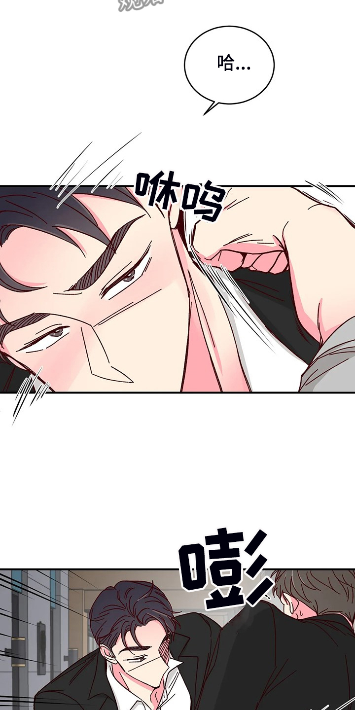 奶油蛋糕不放冰箱第二天可以吃吗漫画,第138章：【第二季】你知道的5图