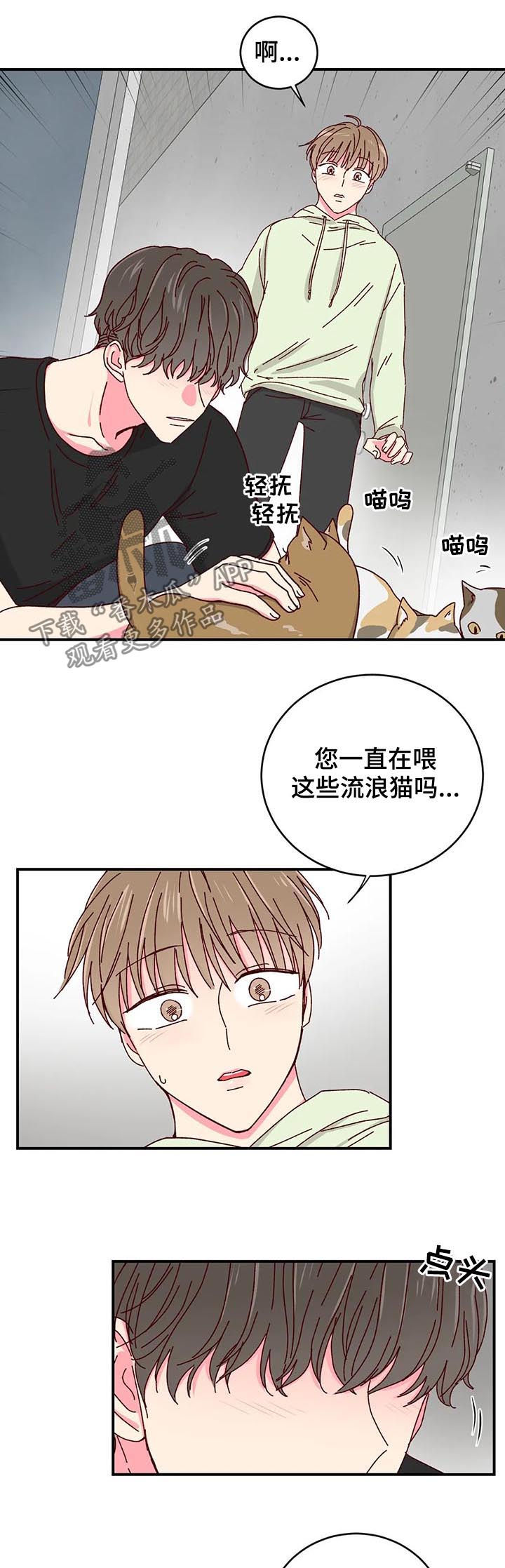 奶油蛋糕漫画,第40章：喂猫3图