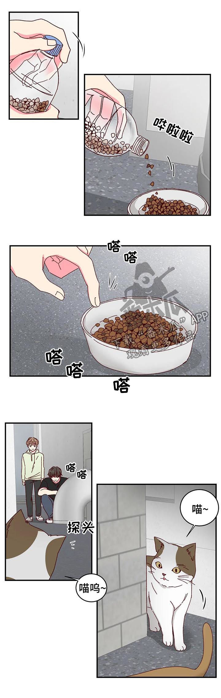 奶油蛋糕漫画,第40章：喂猫2图