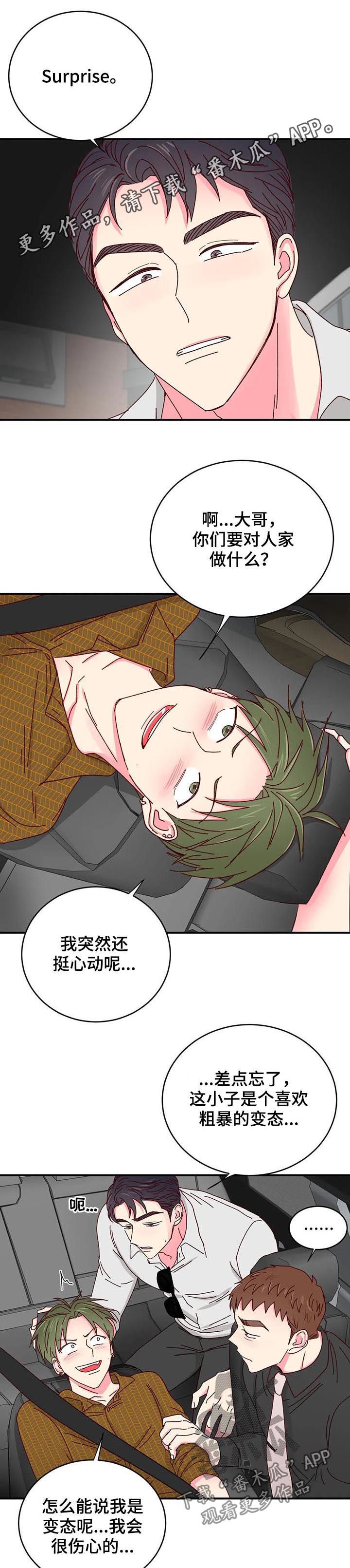 第39章：一定有猫腻0