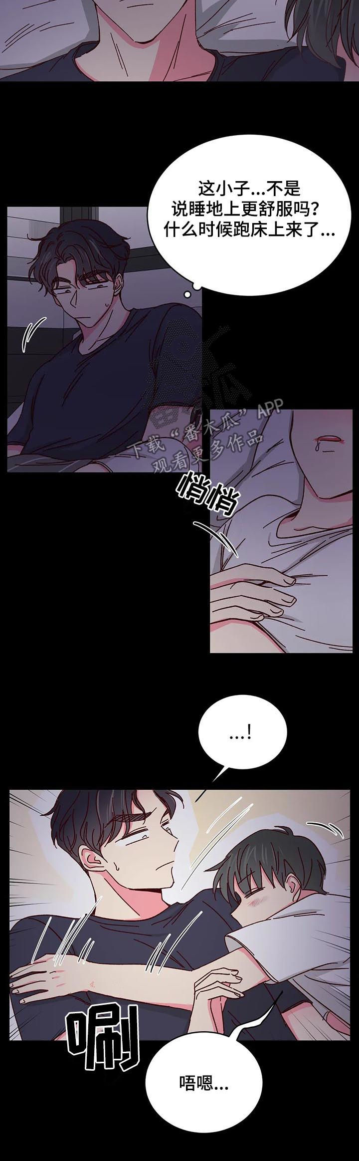 奶油蛋糕漫画,第81章：【第二季】收留3图