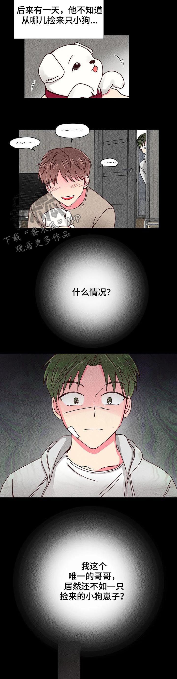 奶油蛋糕一人食漫画,第52章：有好戏看3图