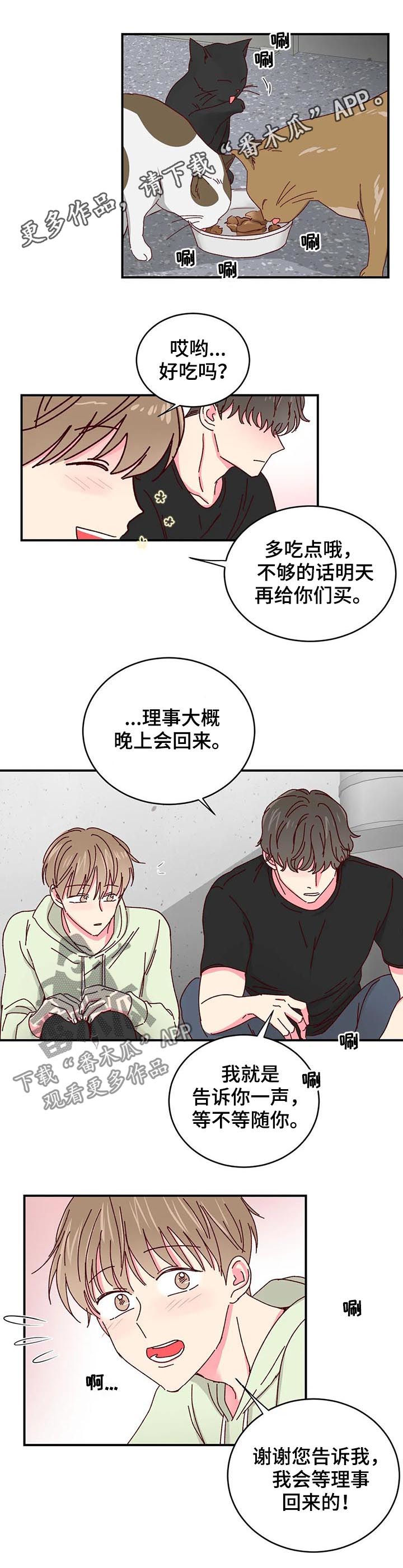 第41章：做您喜欢的事情0