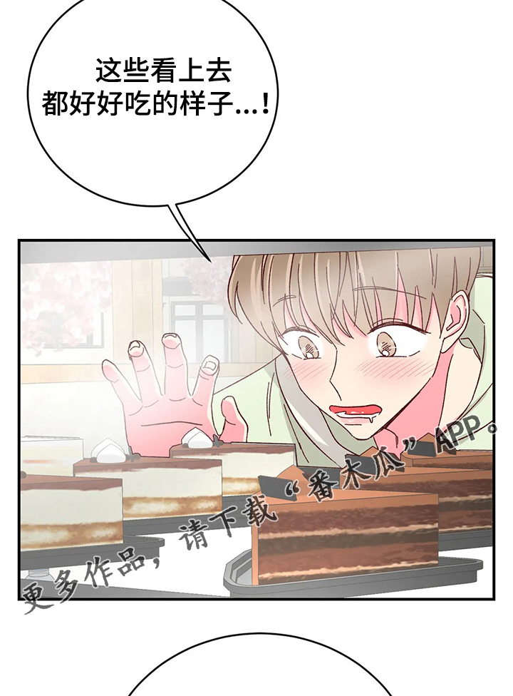 奶油蛋糕保质期放冰箱几天漫画,第103章：【第二季】回以甜蜜蛋糕3图