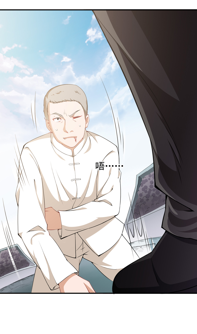 超级保安在都市漫画,第33章：叶神3图