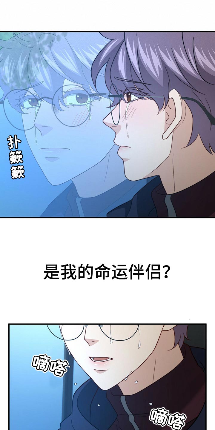 秘密配对漫画,第121章：【第二季】命运的伴侣5图