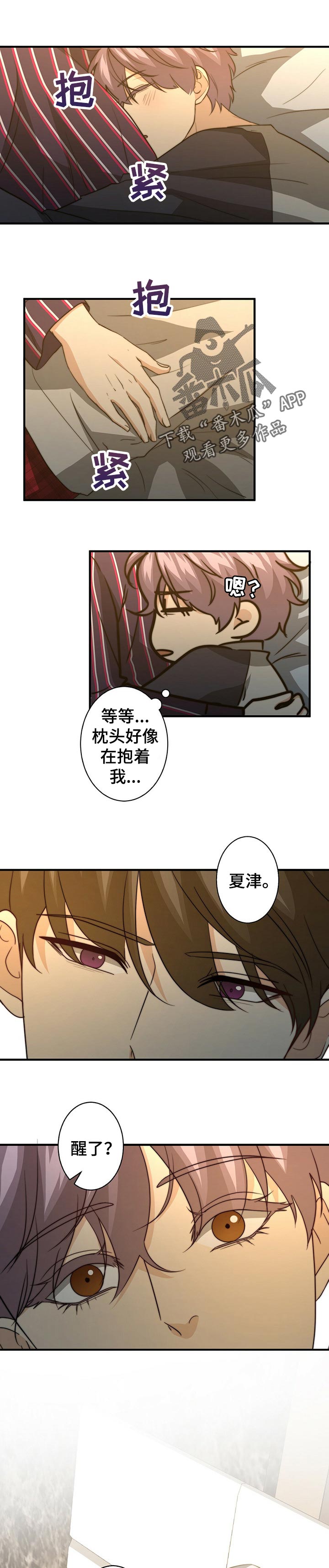 秘密配对漫画,第55章：都是陷阱1图