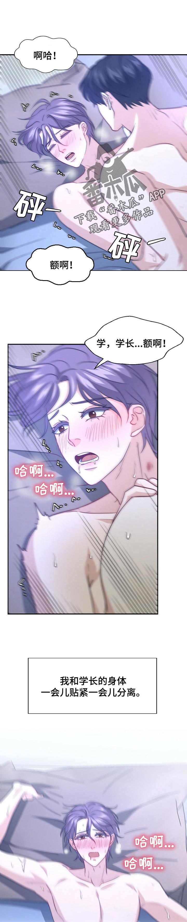 秘密配对漫画,第75章：不躲了【完结】1图