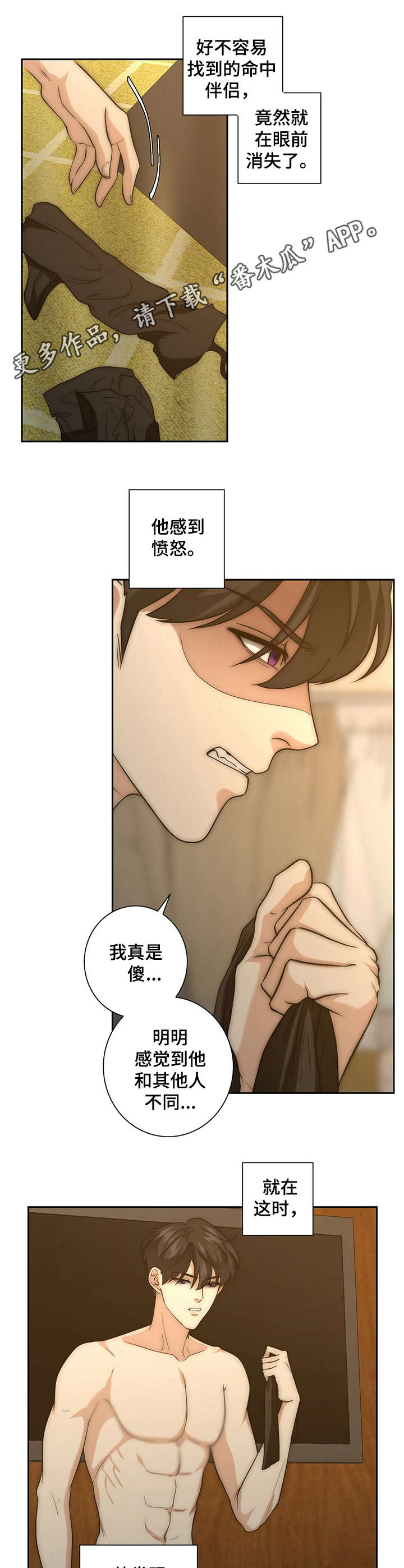 秘密配对漫画,第25章：命中伴侣4图