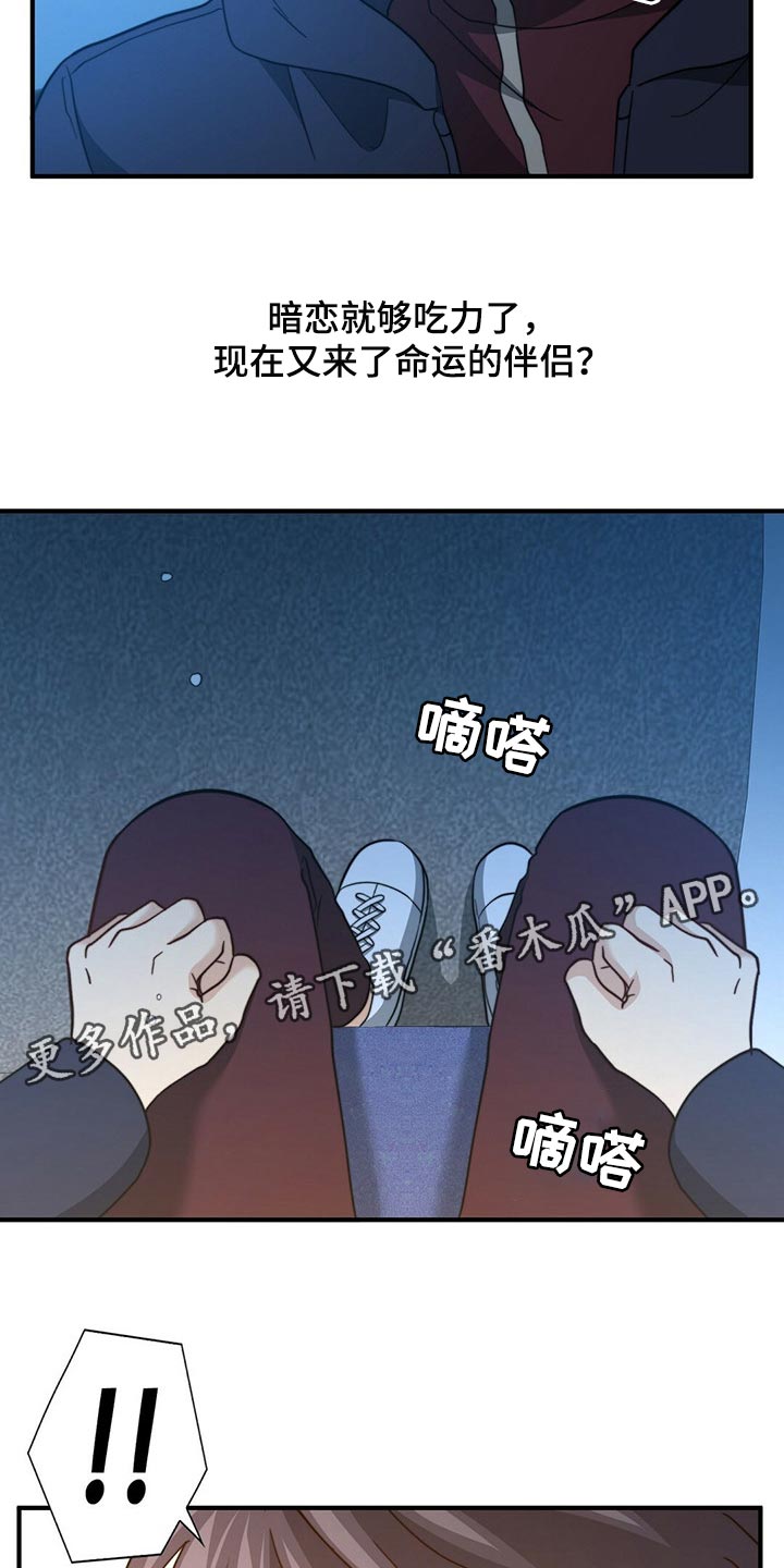 秘密配对漫画,第121章：【第二季】命运的伴侣1图