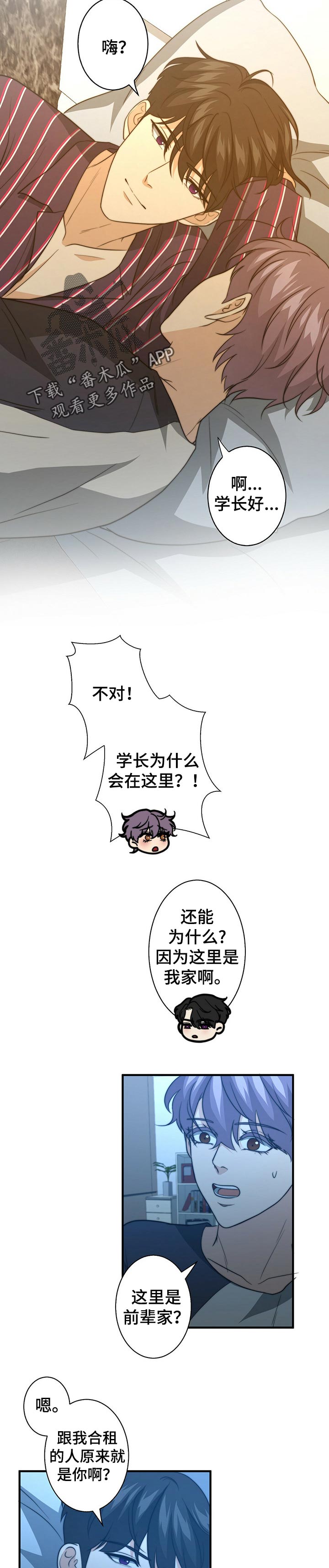 秘密配对漫画,第55章：都是陷阱2图