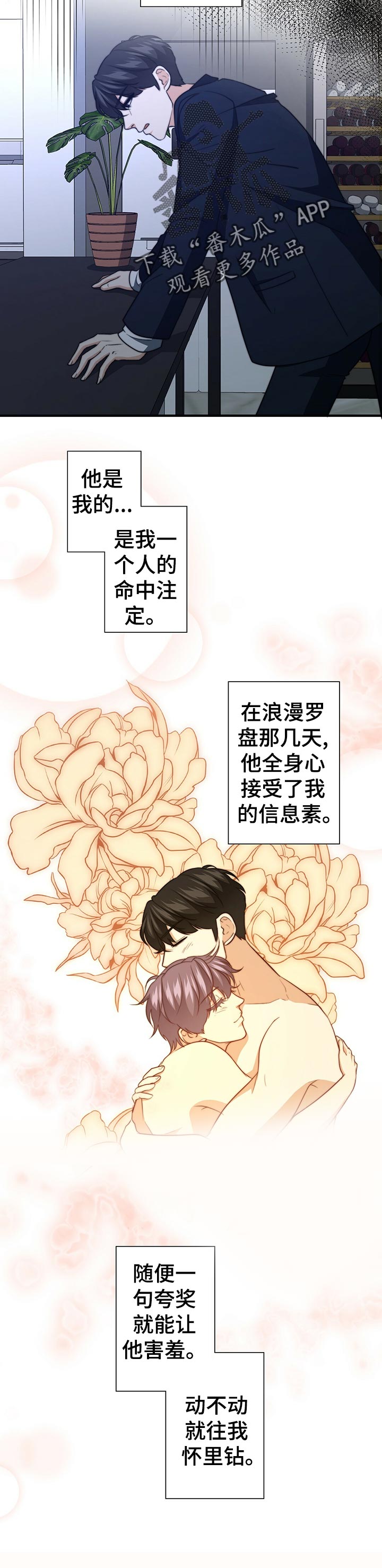 秘密配对漫画,第51章：证据3图