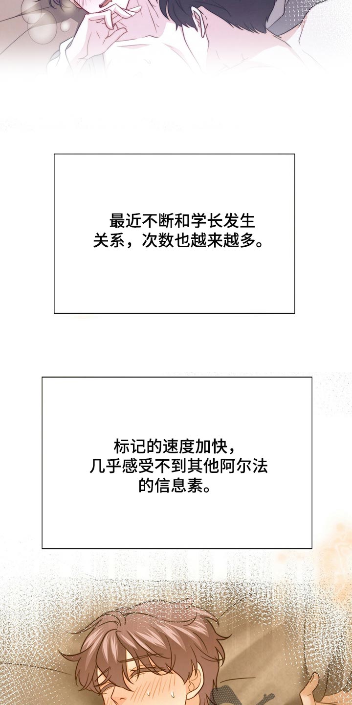 秘密配对漫画,第121章：【第二季】命运的伴侣5图