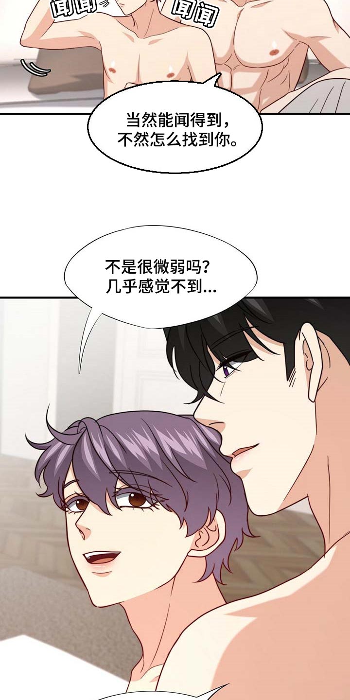 秘密配对漫画,第84章：【第二季】味道4图