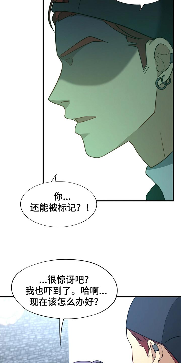 秘密配对漫画,第123章：【第二季】半标记2图