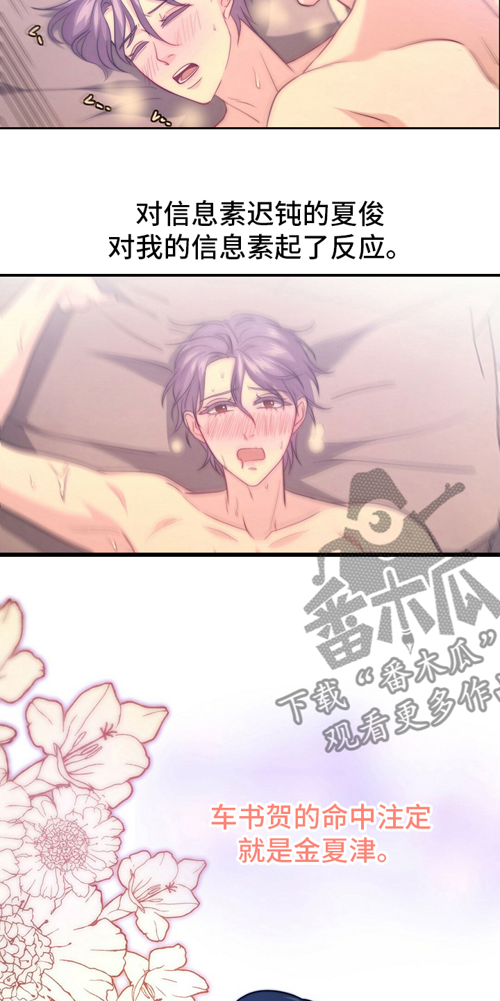 秘密配对漫画,第76章：【第二季】早饭4图