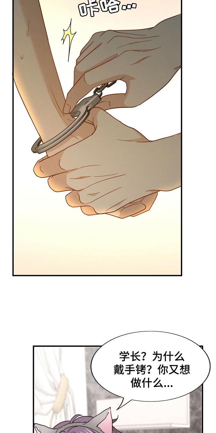 秘密配对漫画,第108章：【第二季】心意4图