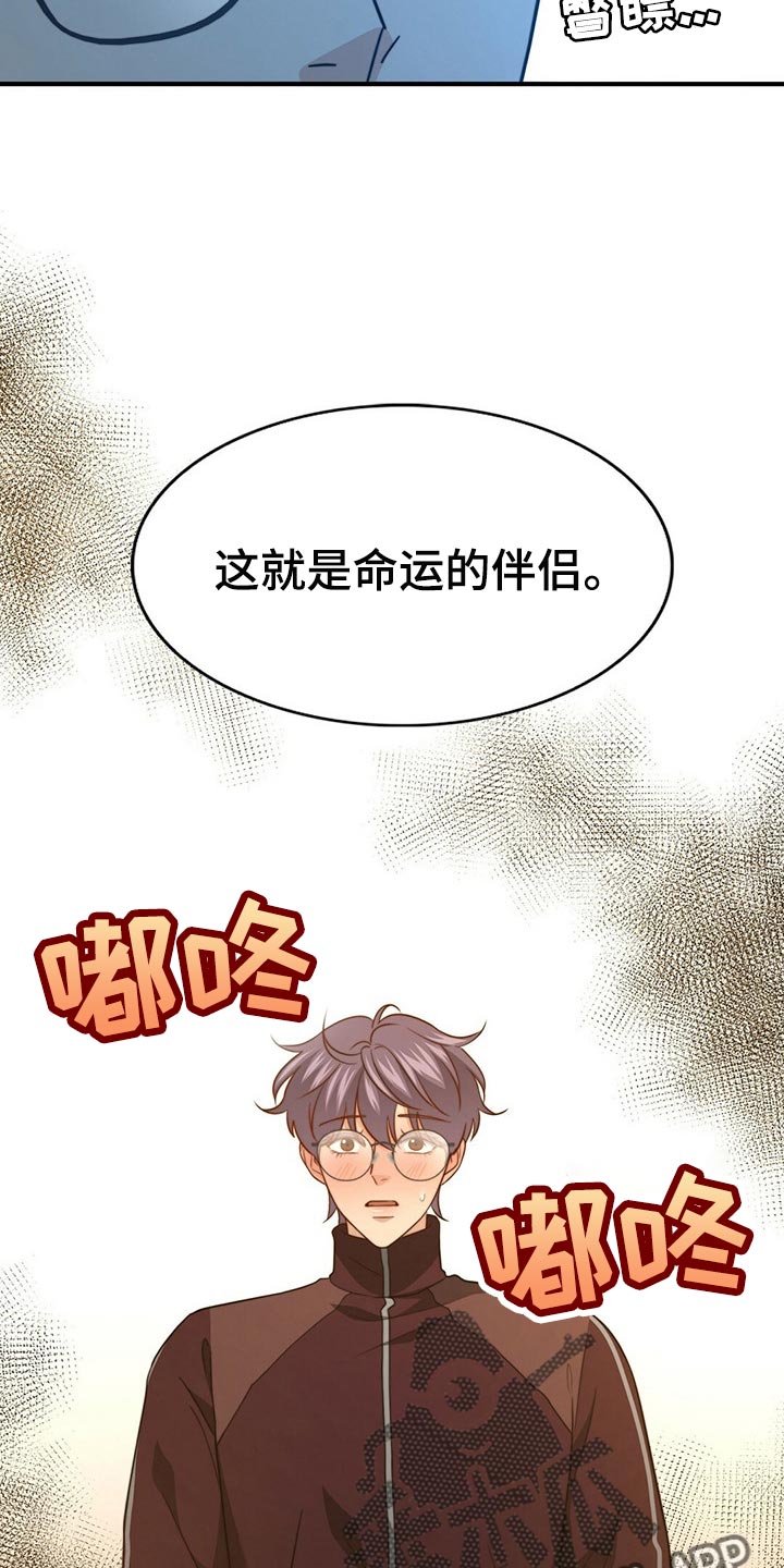 秘密配对漫画,第121章：【第二季】命运的伴侣4图