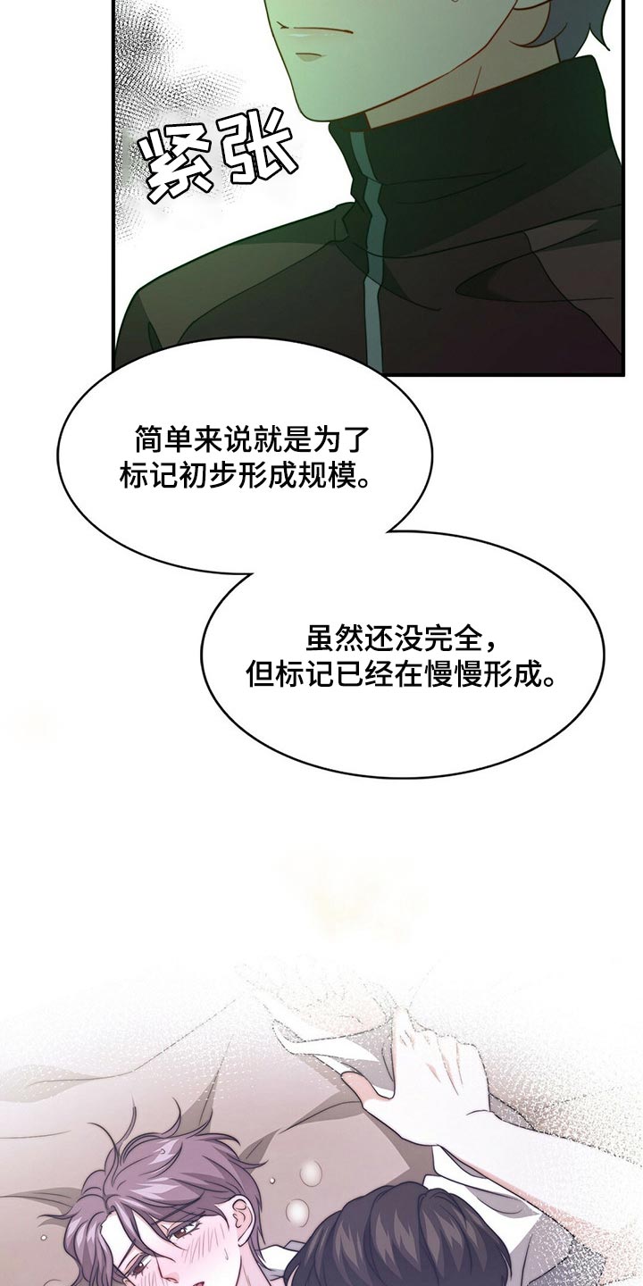 秘密配对漫画,第121章：【第二季】命运的伴侣4图