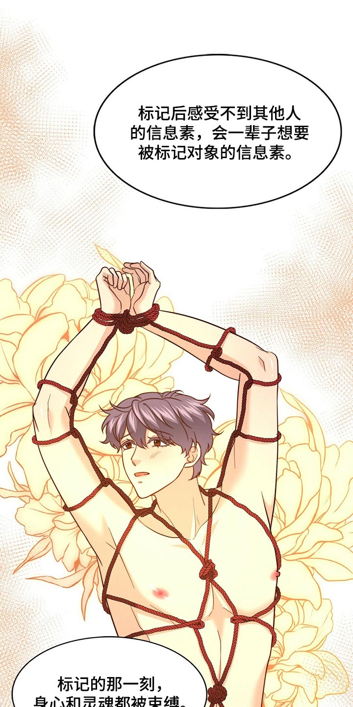 秘密配对漫画,第125章：【第二季】你一定要说2图