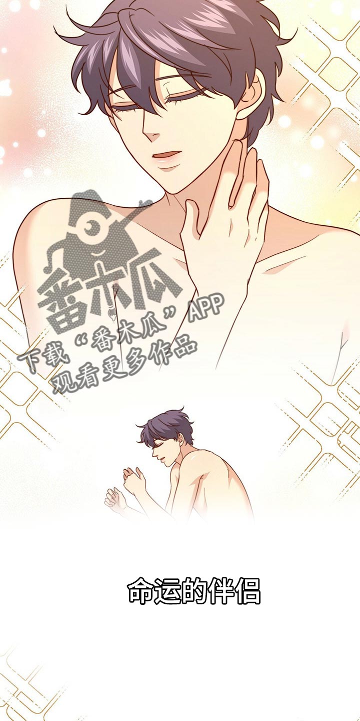 秘密配对漫画,第121章：【第二季】命运的伴侣3图