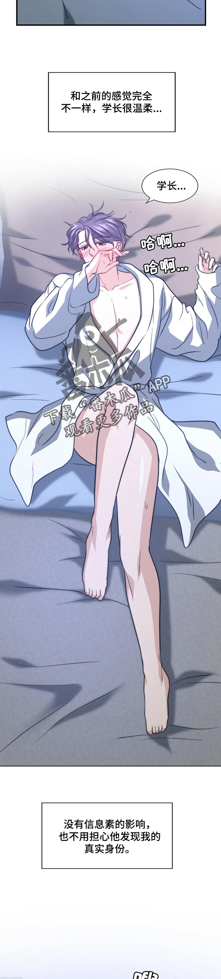 秘密配对漫画,第71章：才刚开始2图