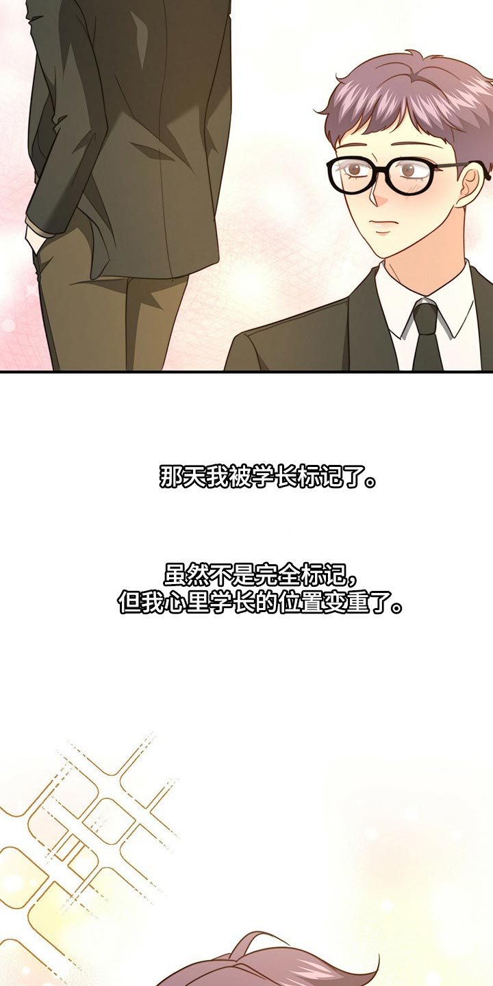 秘密配对漫画,第121章：【第二季】命运的伴侣2图