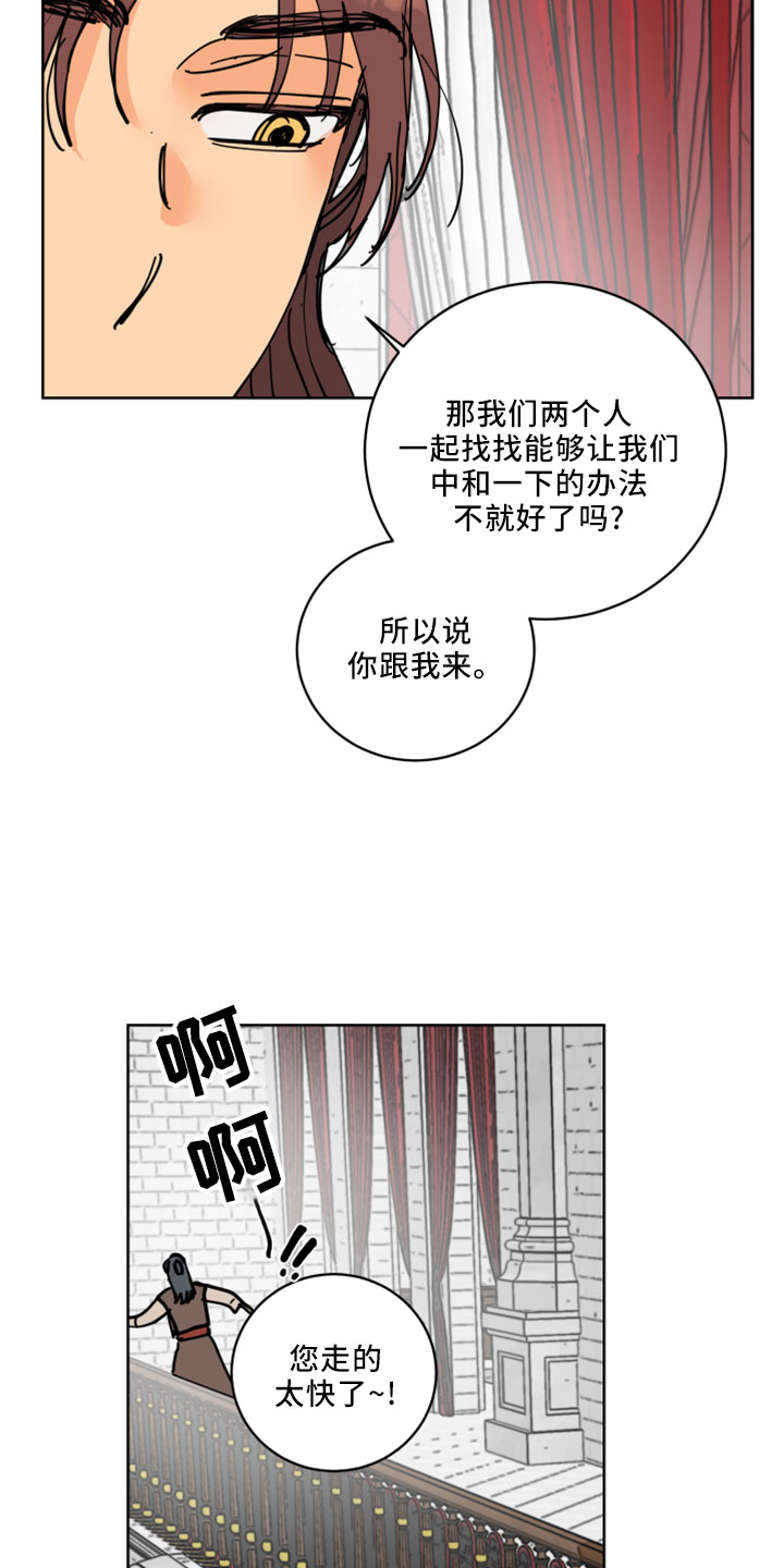 爱的妇产科电视剧漫画,第38章：书信4图