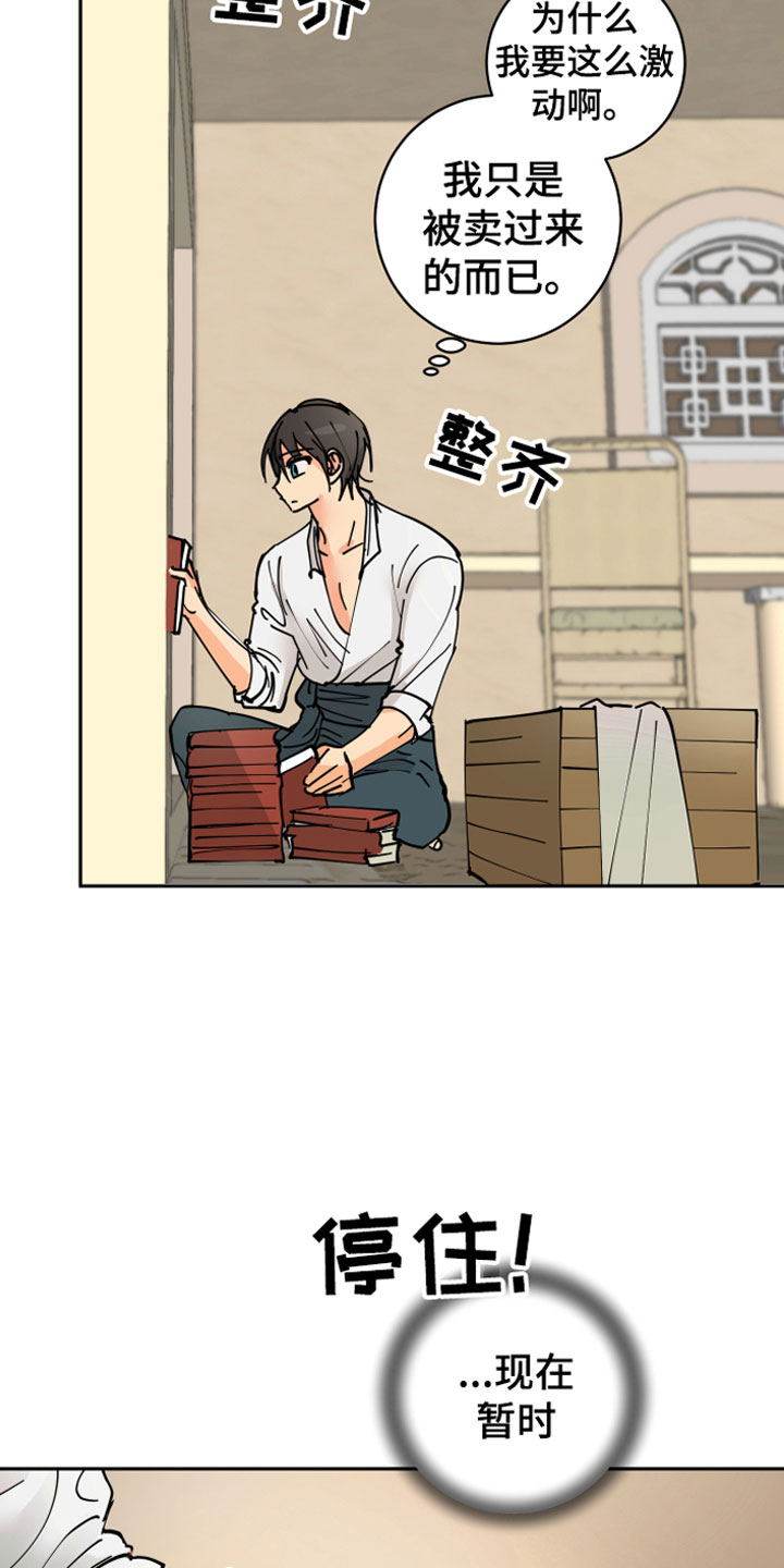 爱的谎言漫画,第13章：决心2图